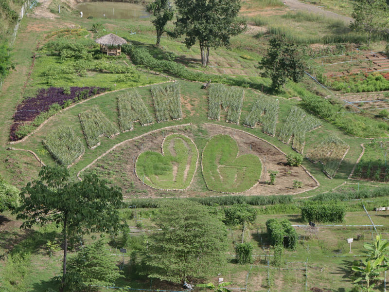 Kitchen Garden